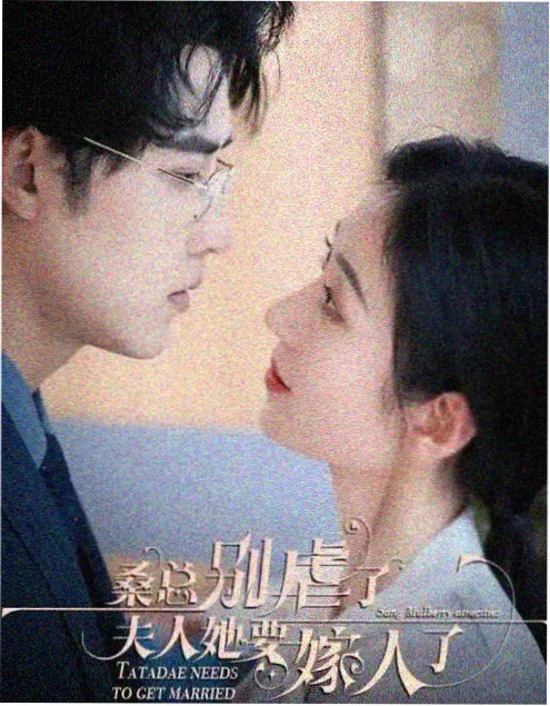 皮特影院剧集《铁皮屋顶的春天》海报